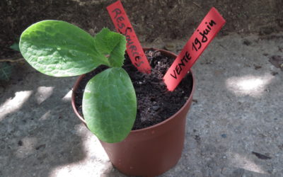 Marché « découvertes » à Bretonnières samedi 19 juin 2021 de 9h-16h