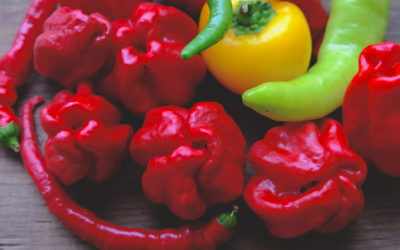 Beau comme un poivron (ou comme un piment) !