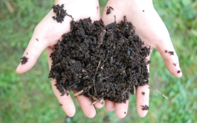  « Prendre soin de la fertilité du sol » Atelier ResSources 2022 avec Paolo Fornara.