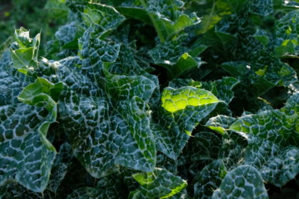 Fermeture Estivale 2023