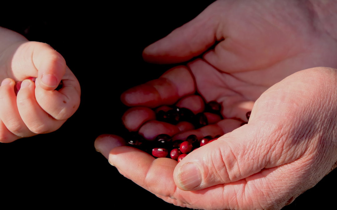 Ne manquez pas : « Ensemble » un reportage de la RTS diffusé dimanche 10 septembre à 12h35 