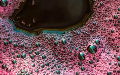 Fermentation naturelle avec Marie-Claire Frédéric : Atelier-formation & conférence – samedi 5 octobre