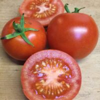 Tomate rouge mi-saison - Eureka