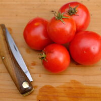 Tomate rouge mi-saison - Super Sioux