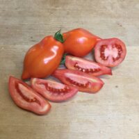 Tomate rouge mi-saison - Ropreco Paste