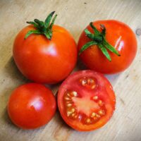 Tomate rouge très précoce - Sub Arctic Plenty