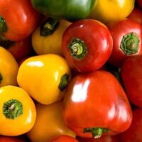 Piment doux (poivron) - Di Capriglio