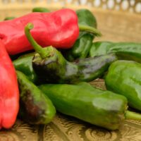 Piment peu fort - Padron