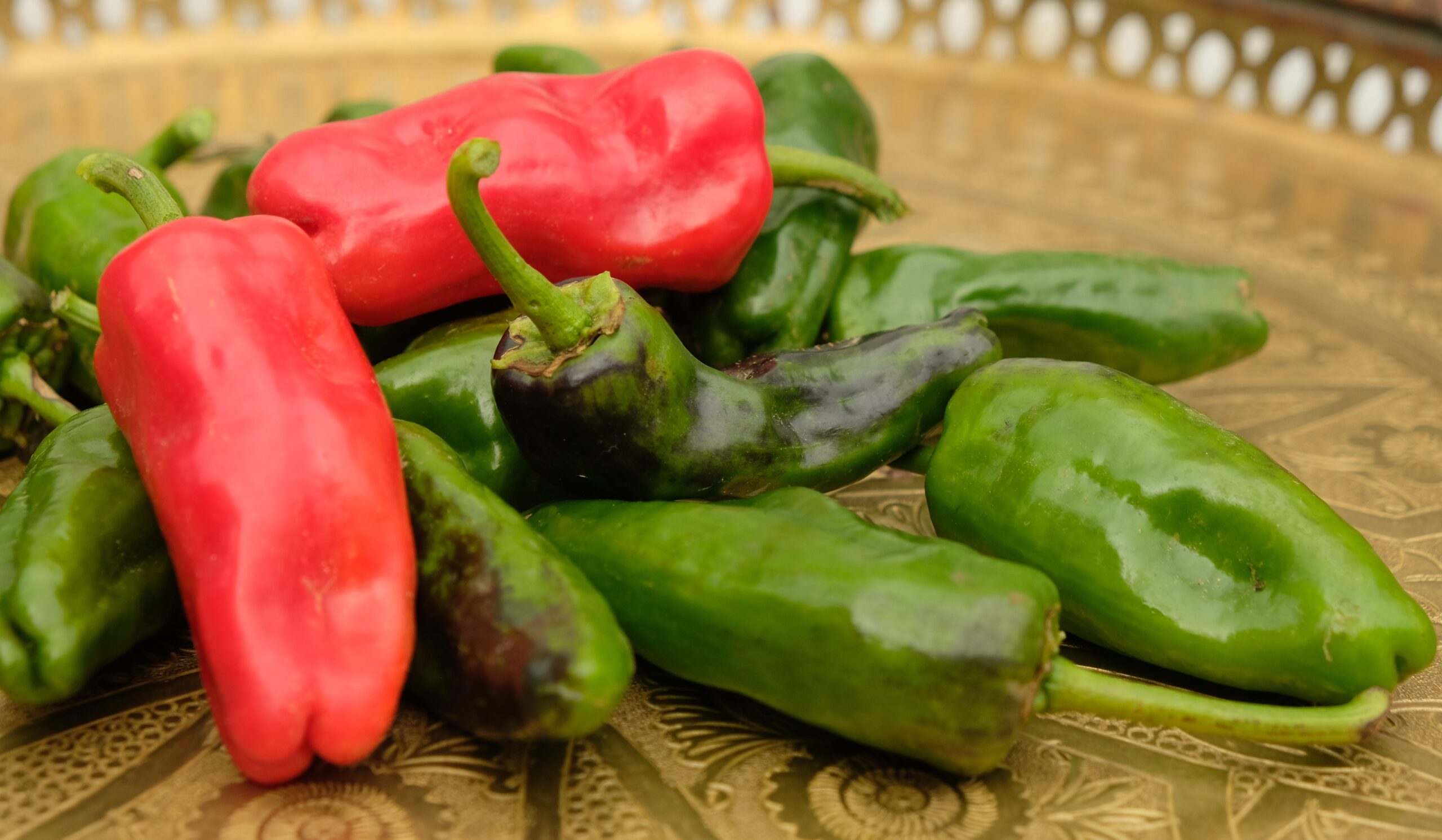 Piment peu fort - Padron