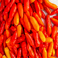 Piment très fort - Tabasco