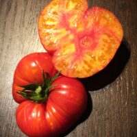 Tomate bigarrée mi-saison - Mary Robinson's German Bicolor