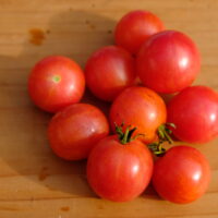 Tomate cerise bigarrée mi-saison - Cherriots of Fire