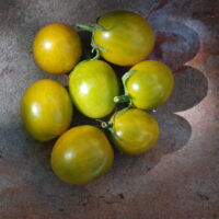 Tomate cerise verte mi-saison - Green Grape ou Raisin Vert