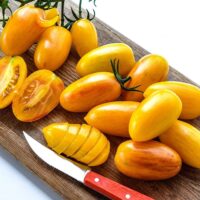 Tomate cerise jaune mi-saison - Blush
