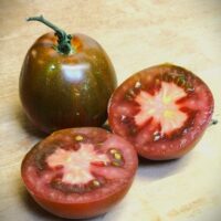 Tomate noire mi-saison - Japanese Black Trifele